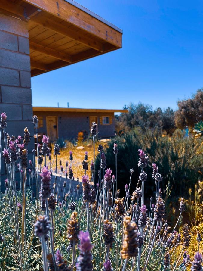 Sn Tony Hotel & Spa Villa de Juarez 외부 사진