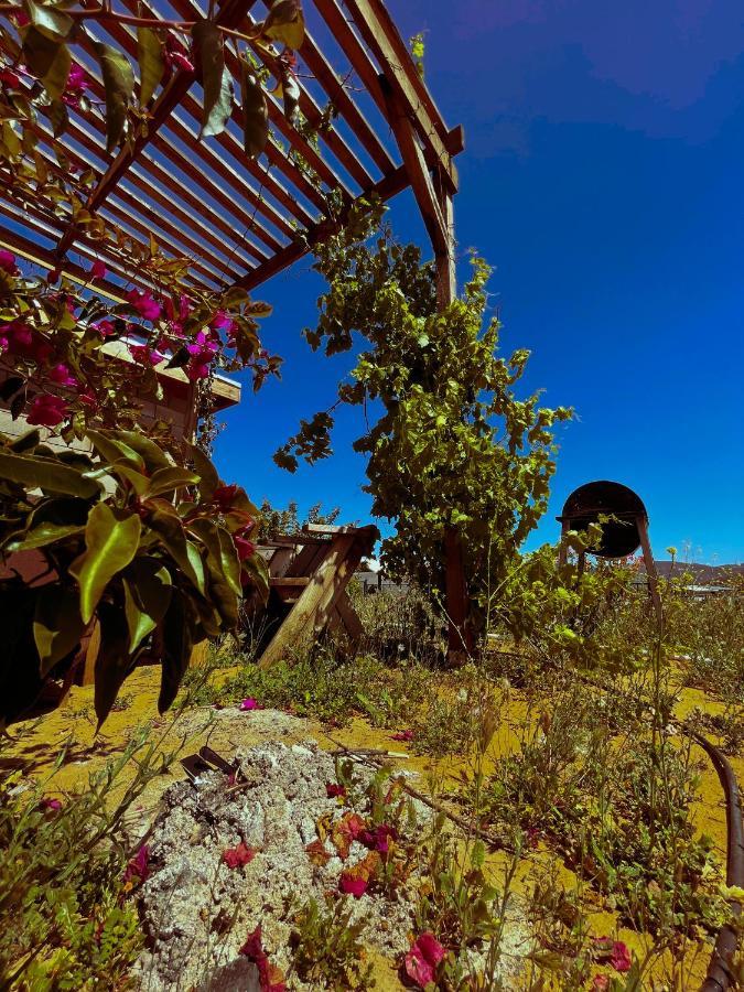 Sn Tony Hotel & Spa Villa de Juarez 외부 사진